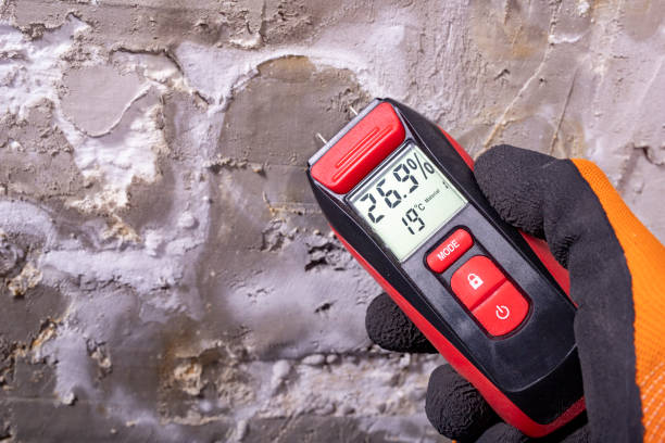 Best Same-Day Mold Removal  in Tehaleh, WA